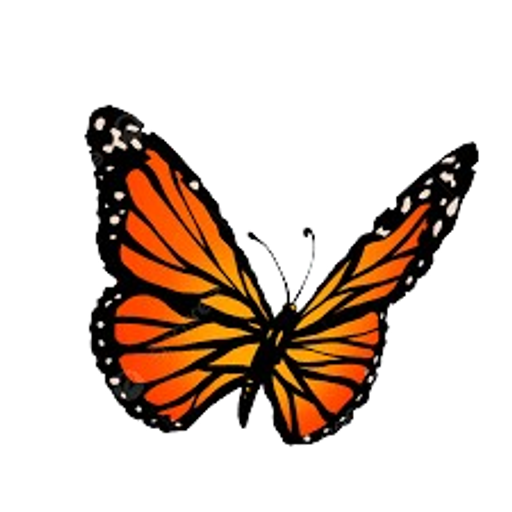 Monarch Butterfly