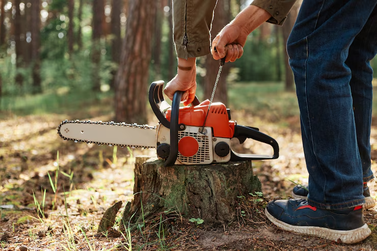 Chainsaw at a tree stump
