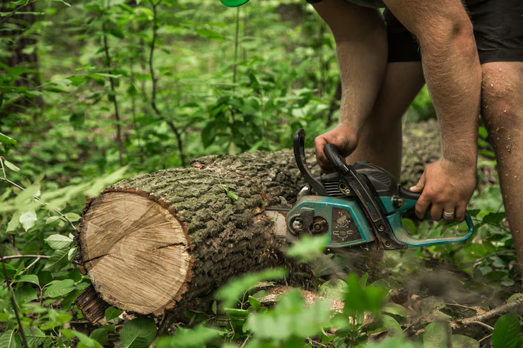 Professional cutting a tree with a chainsaw