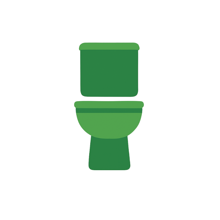Wall-Mounted Toilet